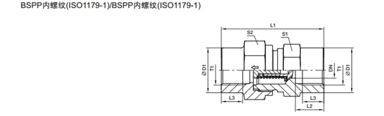 RHDI 單向閥 英制內(nèi)螺紋-2.jpg RHDI 單向閥 英制內(nèi)螺紋-2.jpg