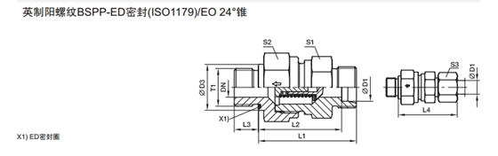 RHZ-R-ED 單向閥 英制螺紋-ED密封-2.jpg RHZ-R-ED 單向閥 英制螺紋-ED密封-2.jpg